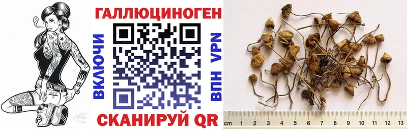 Галлюциногенные грибы MAGIC MUSHROOMS  Ульяновск 