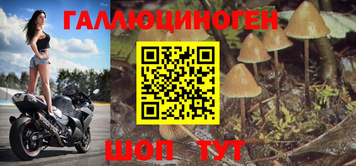 Ульяновск  Псилоцибиновые грибы мицелий  Вход с VPN 